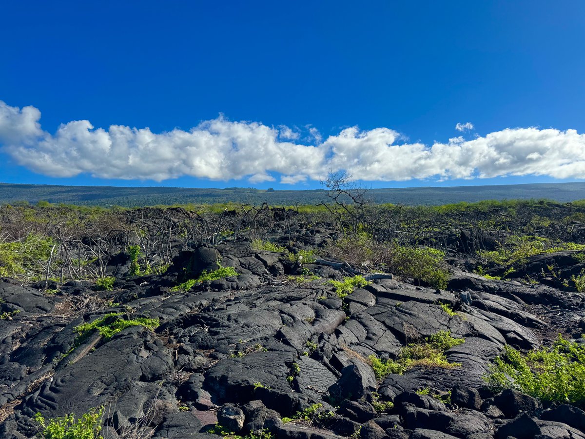 Steven Gutterman tweet media