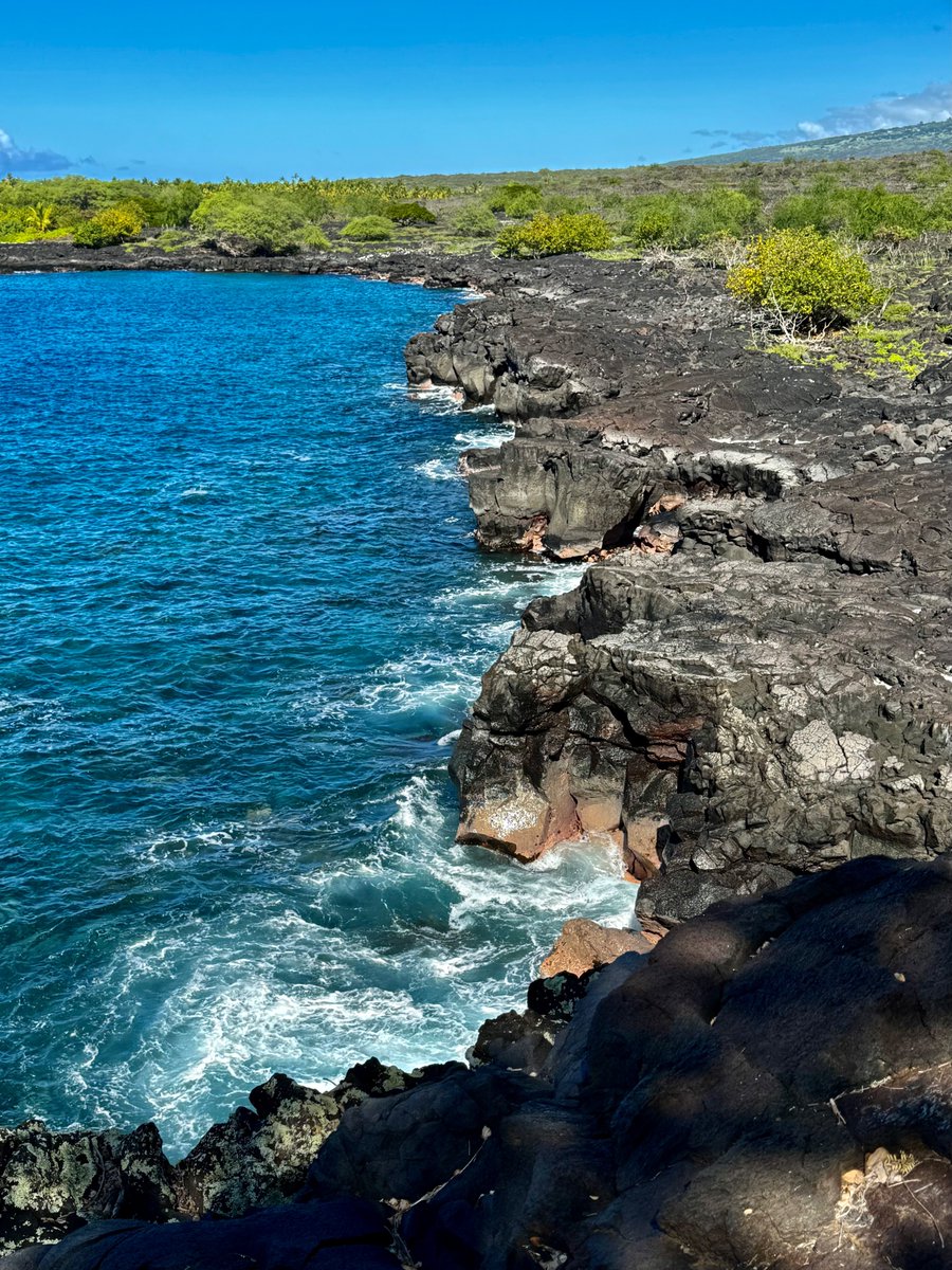 Steven Gutterman tweet media