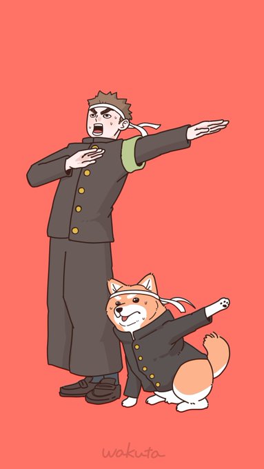 応援団に柴犬が所属した場合。 #柴犬の場合