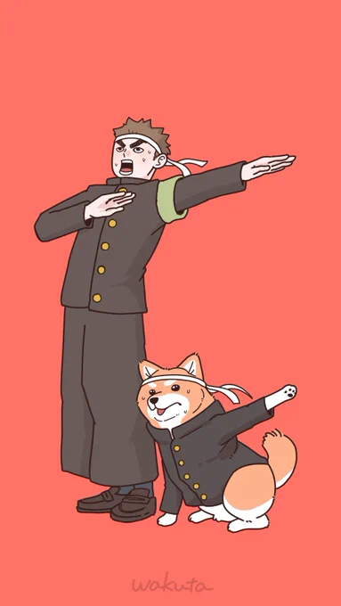 応援団に柴犬が所属した場合。 #柴犬の場合
