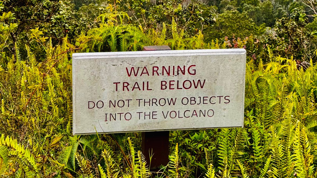 Steven Gutterman tweet media