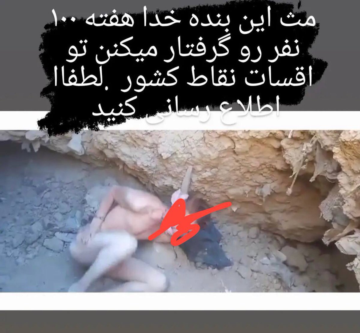 Alireza tweet media