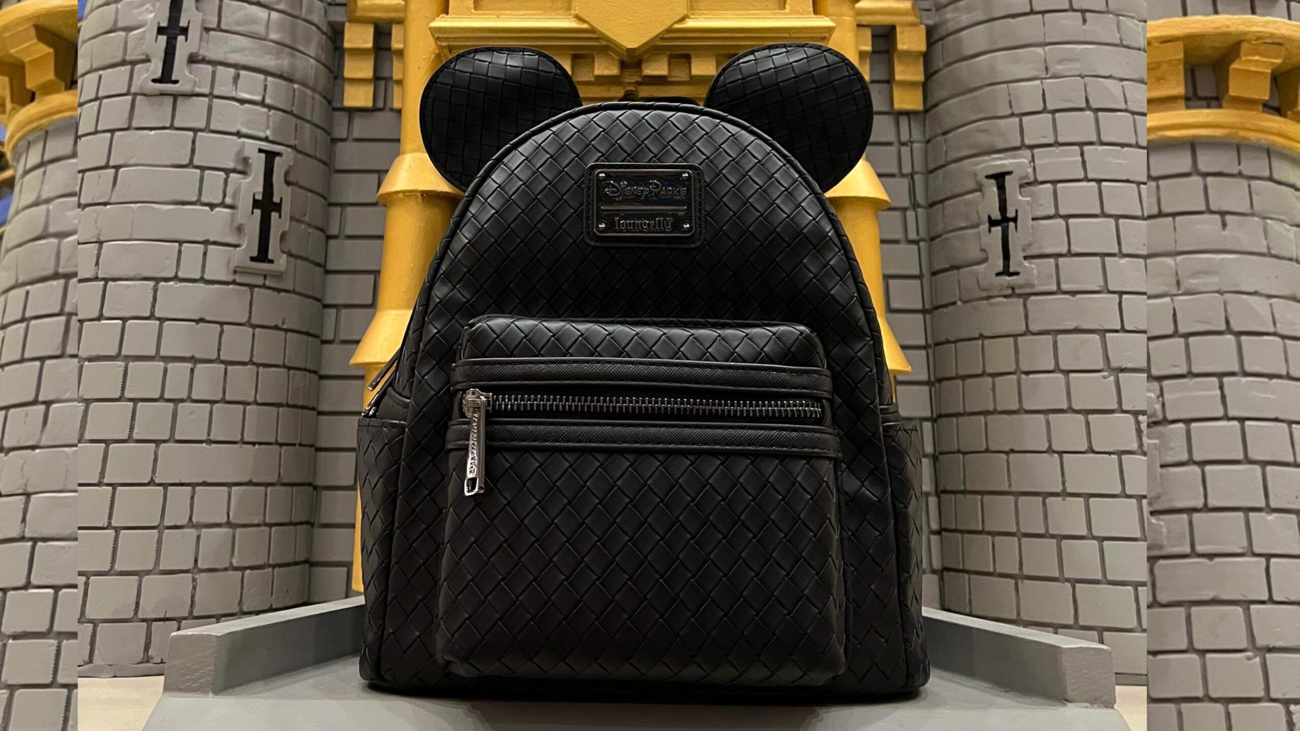 Magic kingdom backpack hot sale