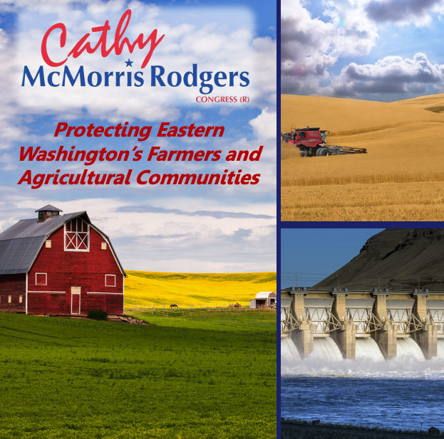 Cathy McMorris Rodgers Leadership Institute tweet media