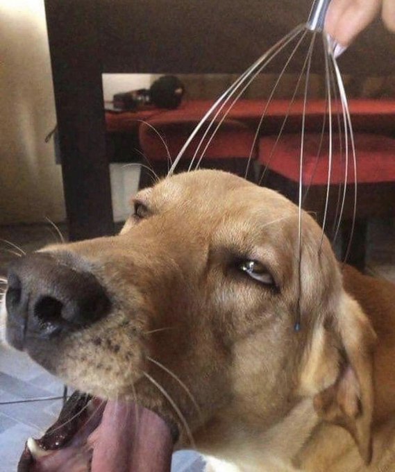 when he&rsquo;s a boob guy 🤧😚😋🤌🏼🫰🏼 https://t.co/50uU9hQOA2