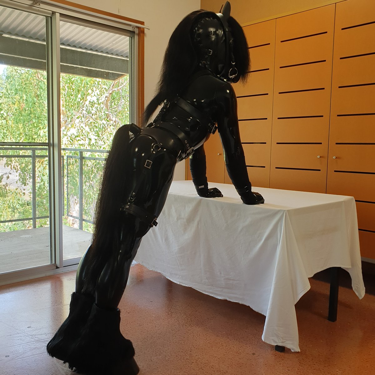 Saddle me up and let's ride into the new year together.

#BDSM #ponyplay #ponyboy #latex #humanhorse