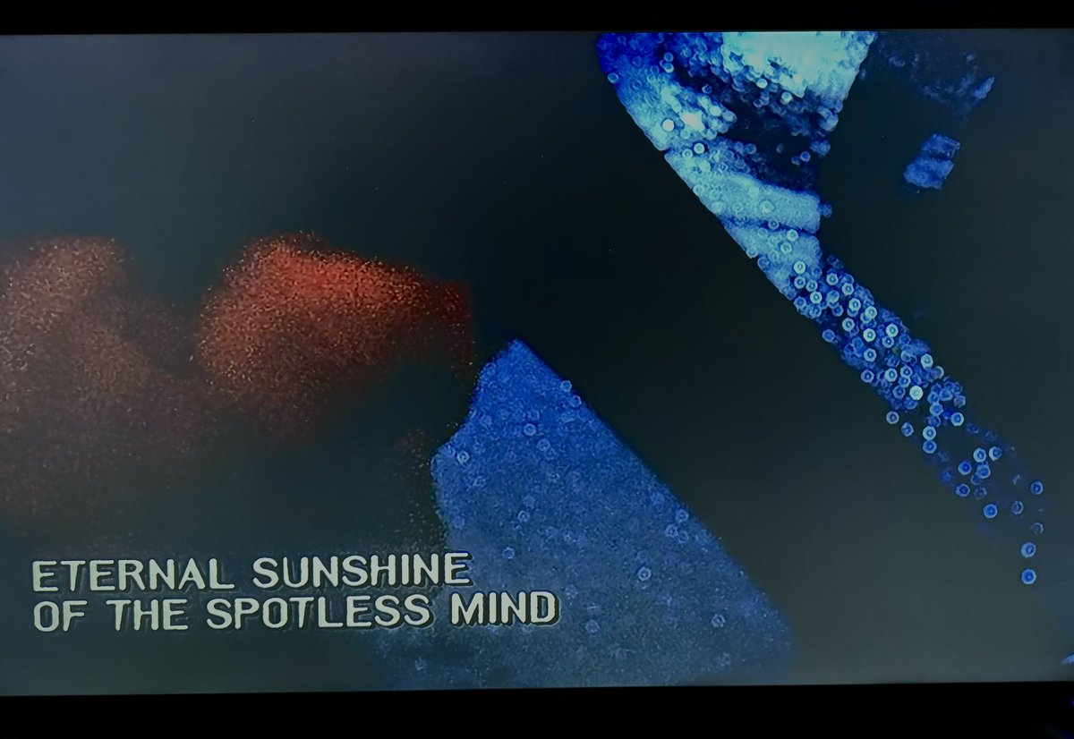 ghostingng's tweet image. i loved it