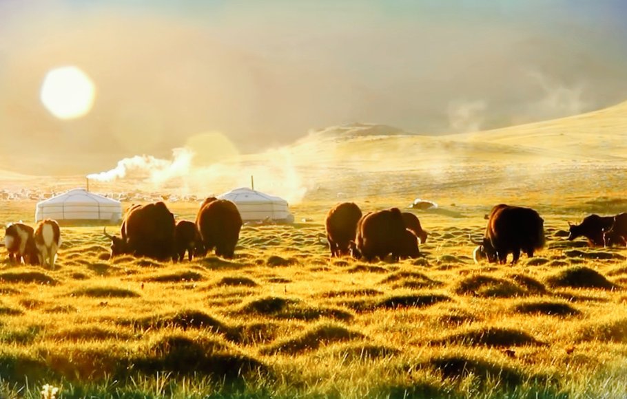 Шинэ сайхан Өглөөний мэндээ Өргөн олон. Амралтын сайхан өдрөө аятай тухтай, азтай жаргалтай өнгөрүүлээрэй.🤗🌹💐