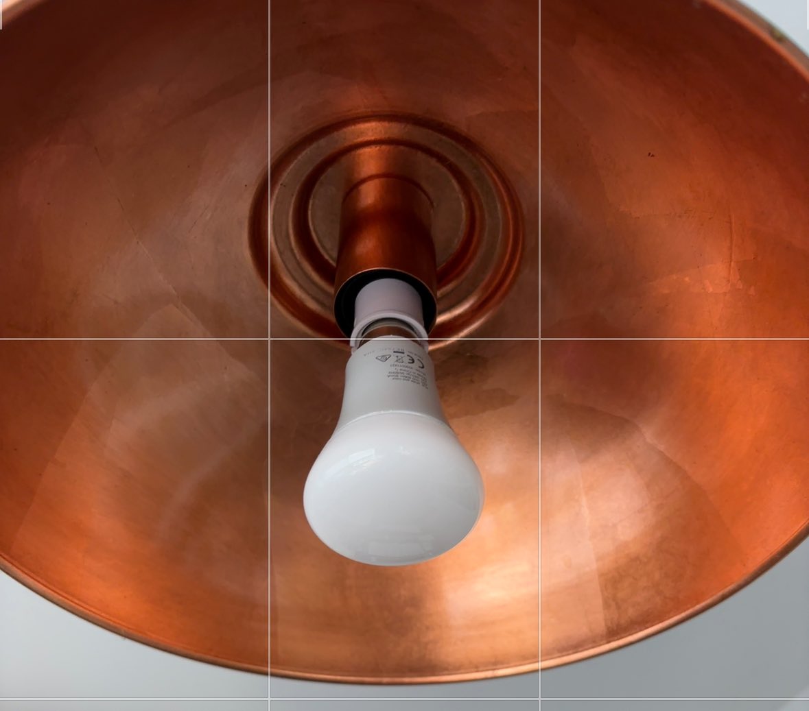 Tim Malone tweet media