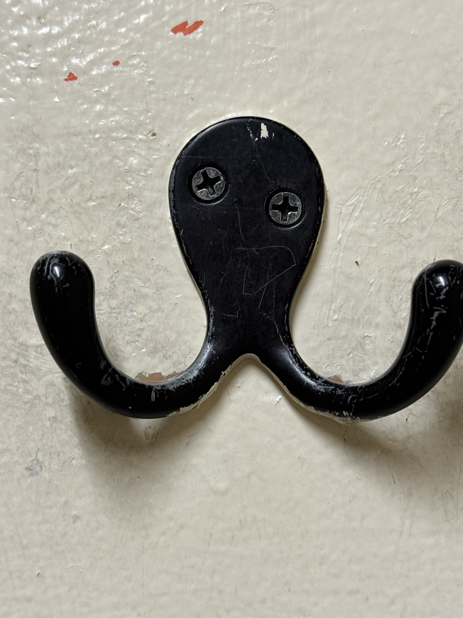 Benoit Bruneau on X: Drunk octopus wants to fight you