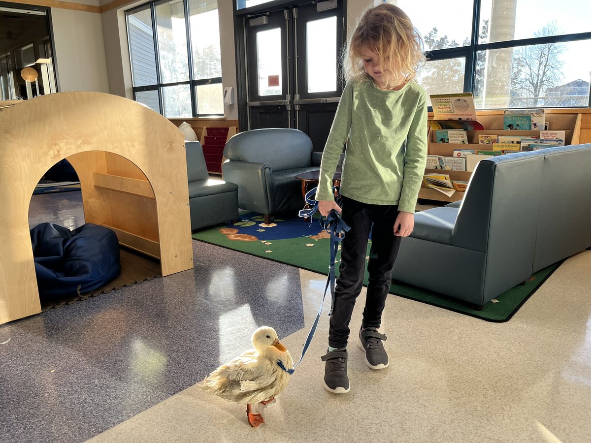 Just your regular Friday!  🦆 ☀️ #abbyschools #bringyourpettoschool