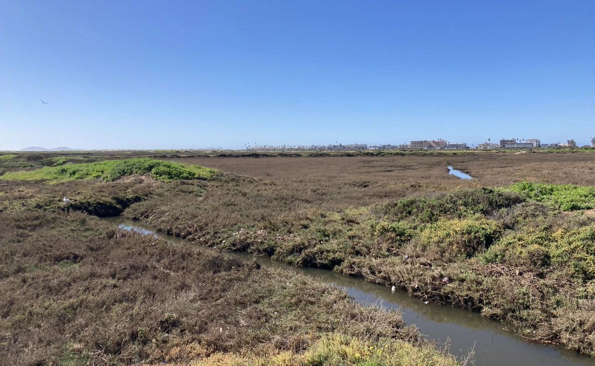 Federal officials could soon be the target of another lawsuit linked to the region’s persistent cross-border sewage problem. San Diego Coastkeeper announced its intention to sue in December, a move that could revive other legal challenges. kpbs.org/news/environme…