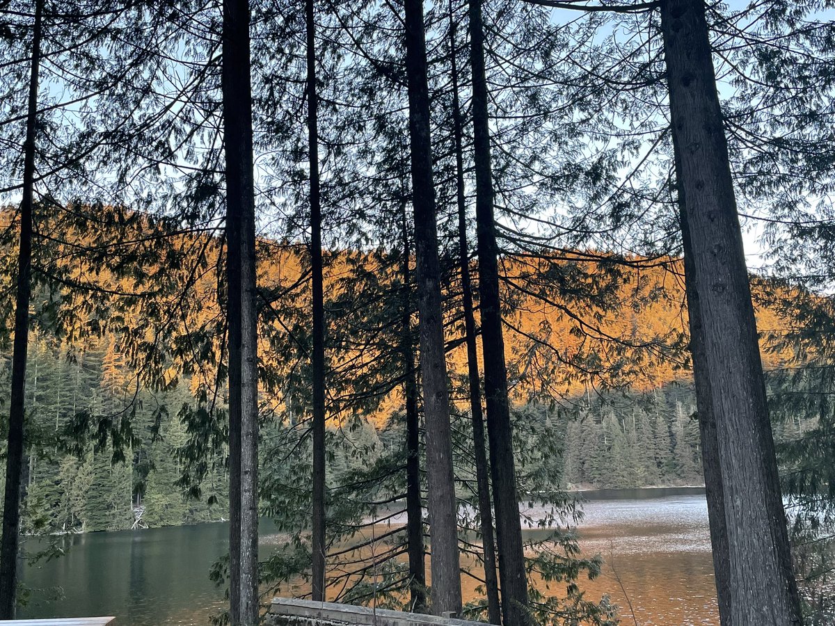 shidehtal's tweet photo. This week, in a serene mountain lodge, a transformative 5-day leadership program reshaped me. Deep self-discovery, distinguishing leadership from management, honing communication, learning from accomplished leaders &amp; lasting relationships. Grateful for this opportunity! 
#LLEAD https://t.co/THyUY8BE0i