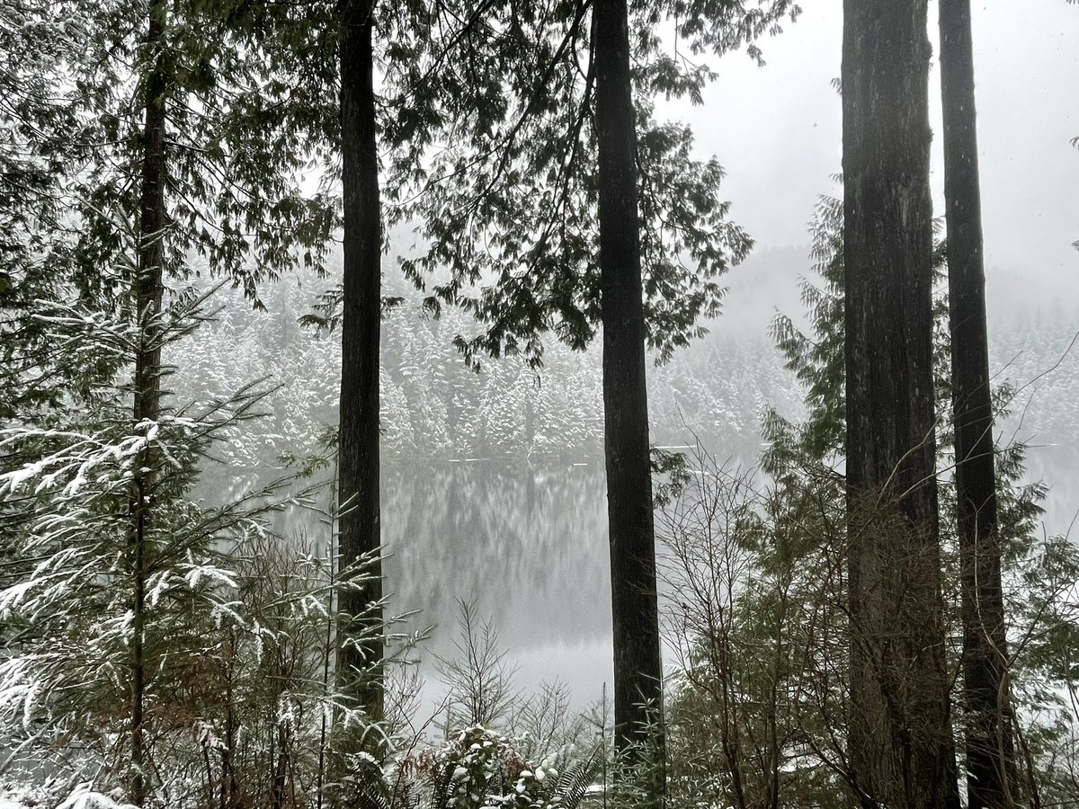 shidehtal's tweet photo. This week, in a serene mountain lodge, a transformative 5-day leadership program reshaped me. Deep self-discovery, distinguishing leadership from management, honing communication, learning from accomplished leaders &amp; lasting relationships. Grateful for this opportunity! 
#LLEAD https://t.co/THyUY8BE0i