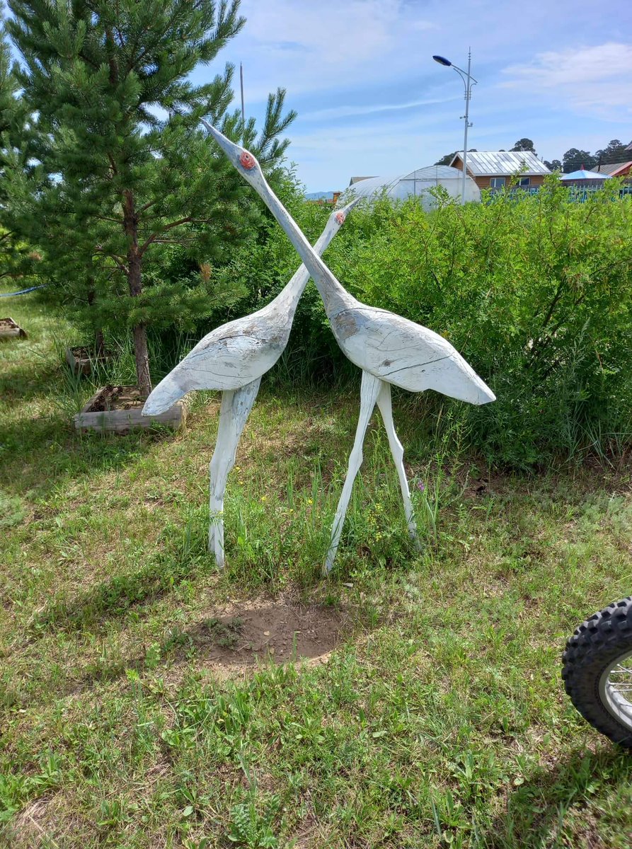 О.Пүрэвдорж tweet media