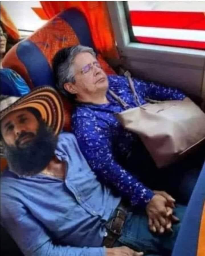 Alejandra 🪷 tweet media