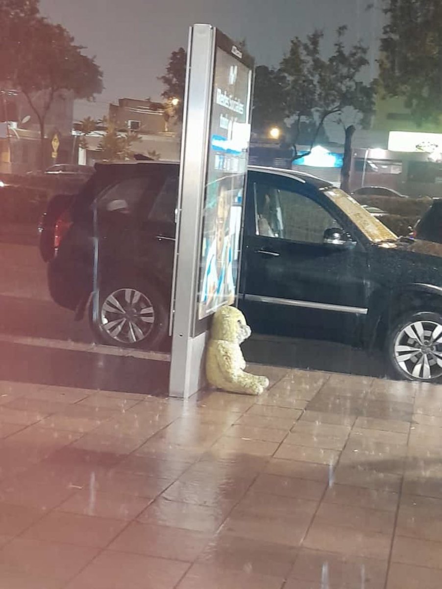 Me siento como este oso abandonado en plena lluvia en el peligroso Guayas.