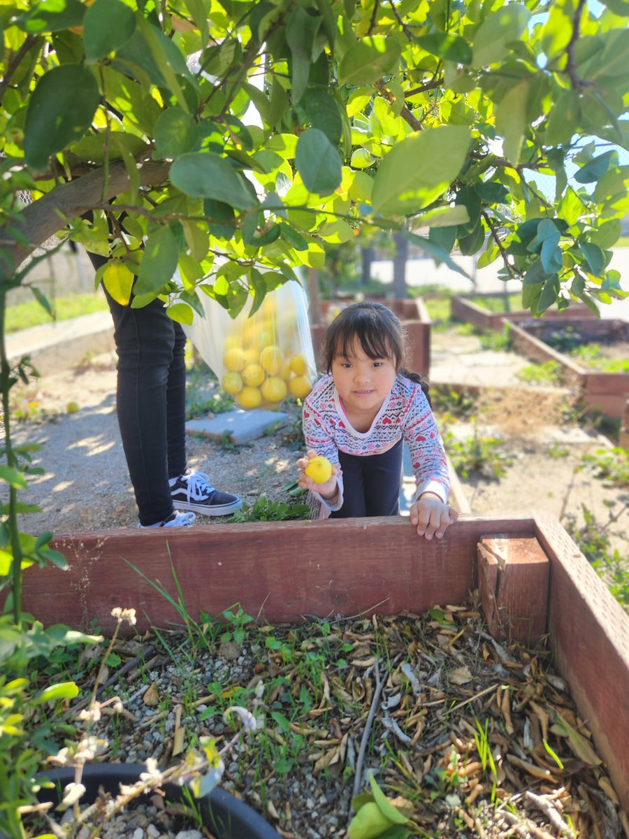 Life Skills_Sasdelli tweet media