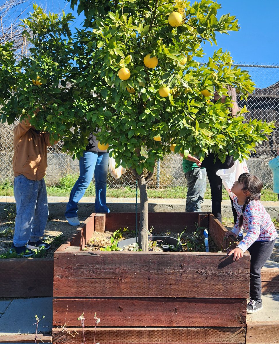 Life Skills_Sasdelli tweet media