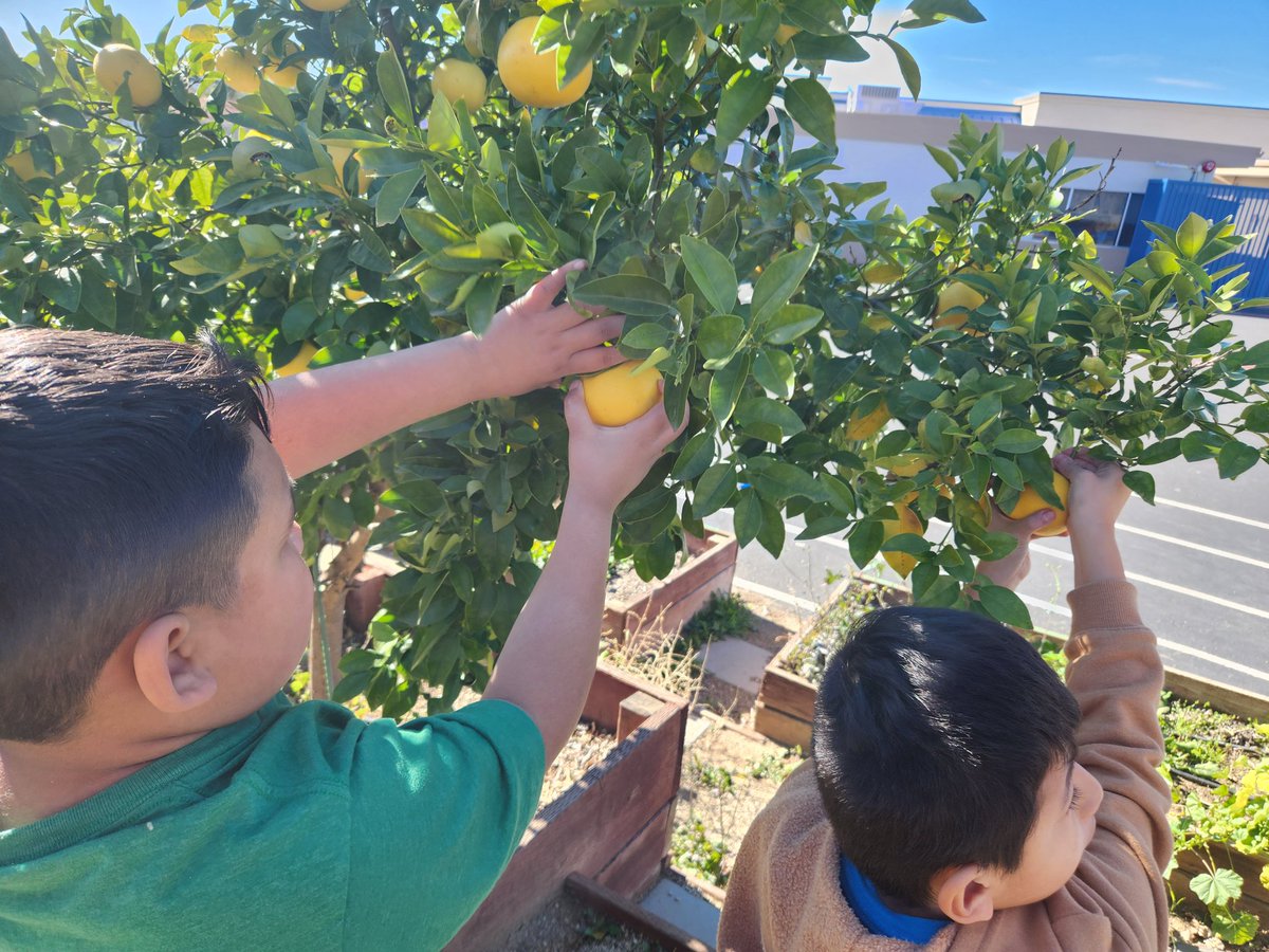 Life Skills_Sasdelli tweet media