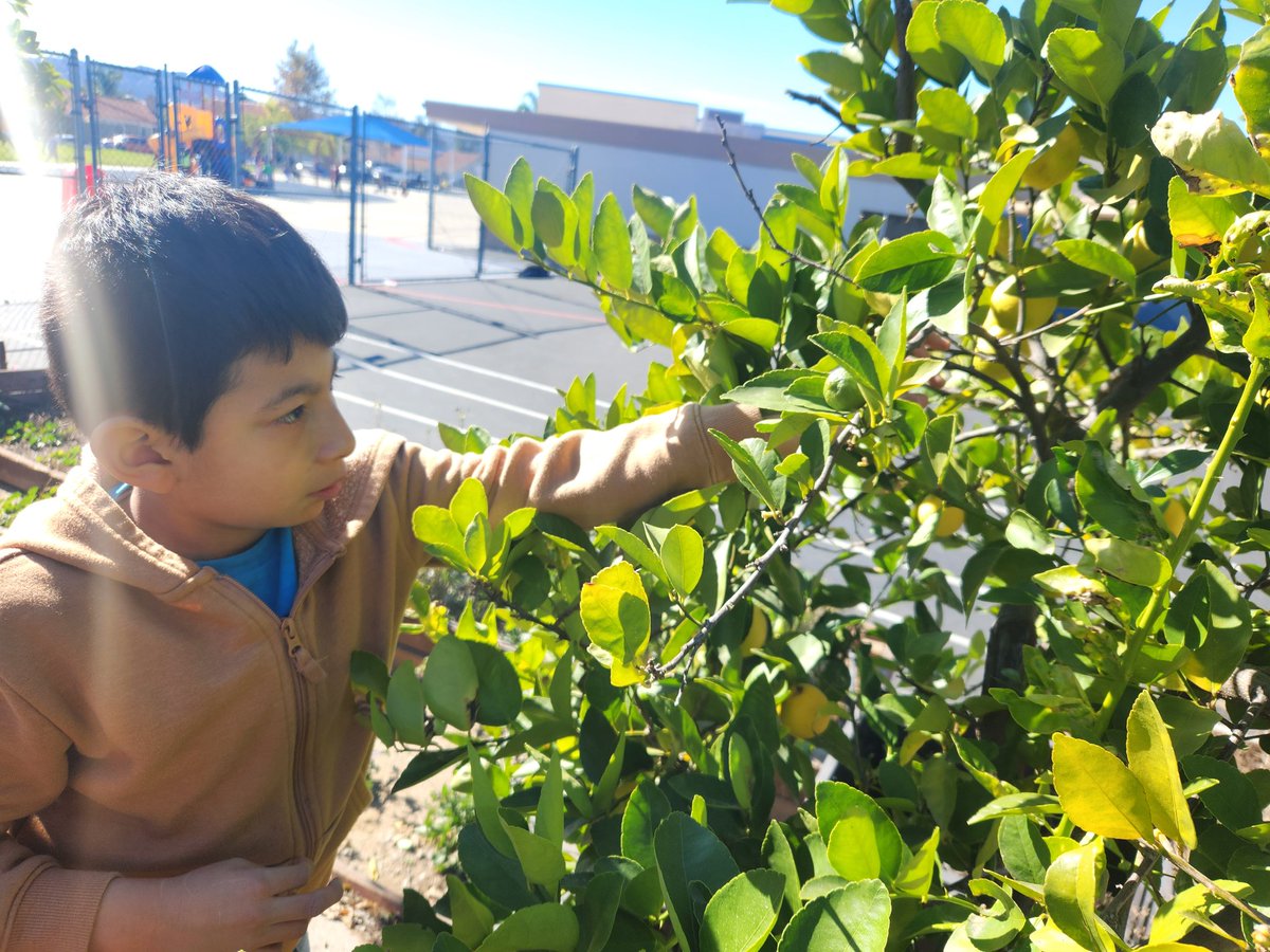 Life Skills_Sasdelli tweet media