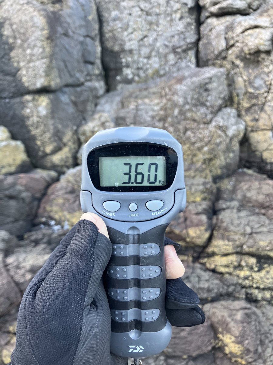 hishing_14's tweet image. いつもの地磯

サワラ釣れた！！

88㌢　3.6㌔

#RippleFisher
#RunnerExceed
#95TC
#23ソルティガ6000XH