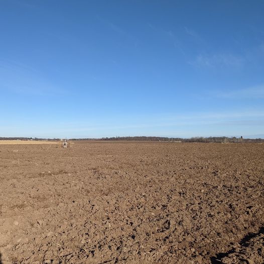And that's a wrap folks.

This field was home to our biggest hopes and dreams, was a place where we put in thousands of hours of work, was our university of life, our temple to the sacred vocation of farming, and our joy in the exploration of hops.