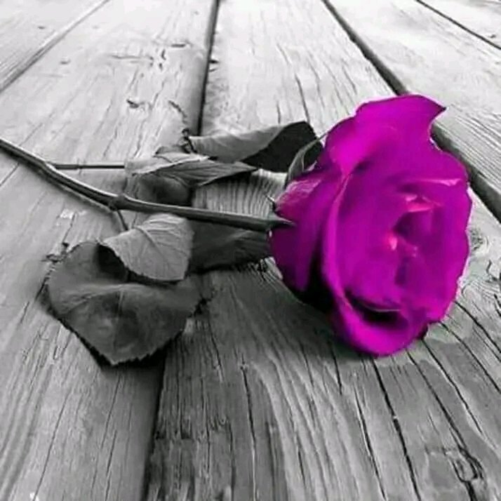 FtwnRwhy's tweet photo. @vshvshvhdn https://t.co/iotETTWXHe