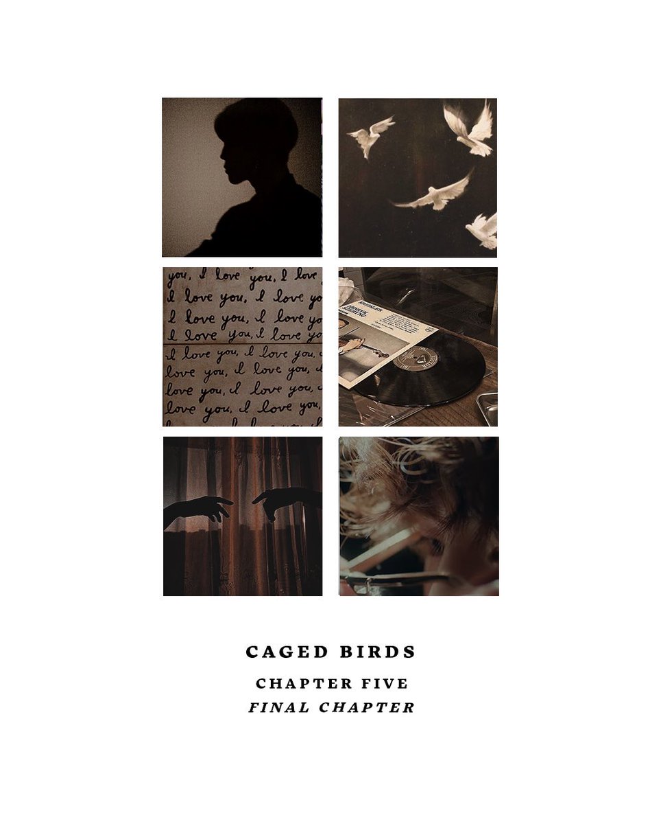 “caged birds” — vmin, chapter 5, 11.7k (final chapter) › tags: explicit, exes to lovers, memory loss, hurt/comfort, angst + chapter specific tags on chapter › summary: sometimes things break to prove they can be put back together › link: ao3.org/works/48070843…