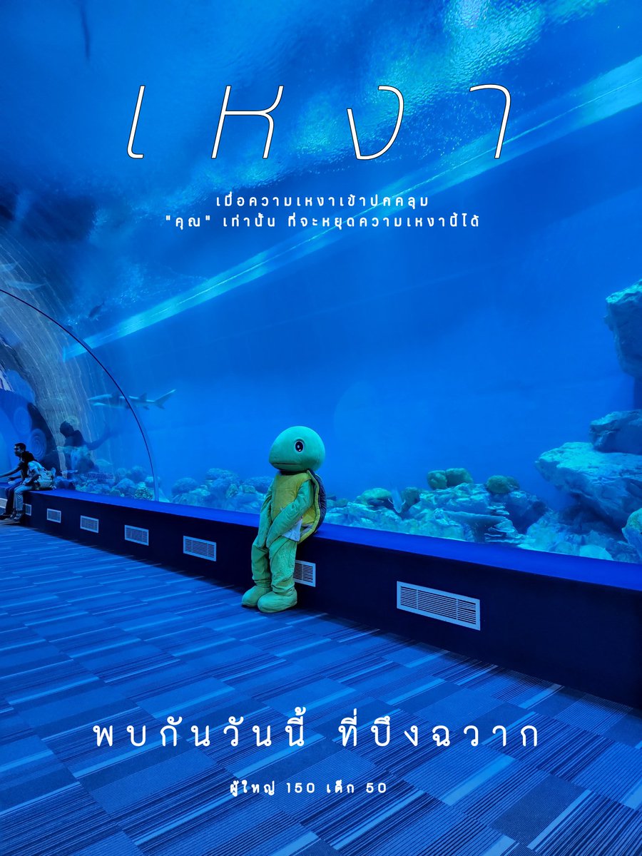 เมะตัล tweet media