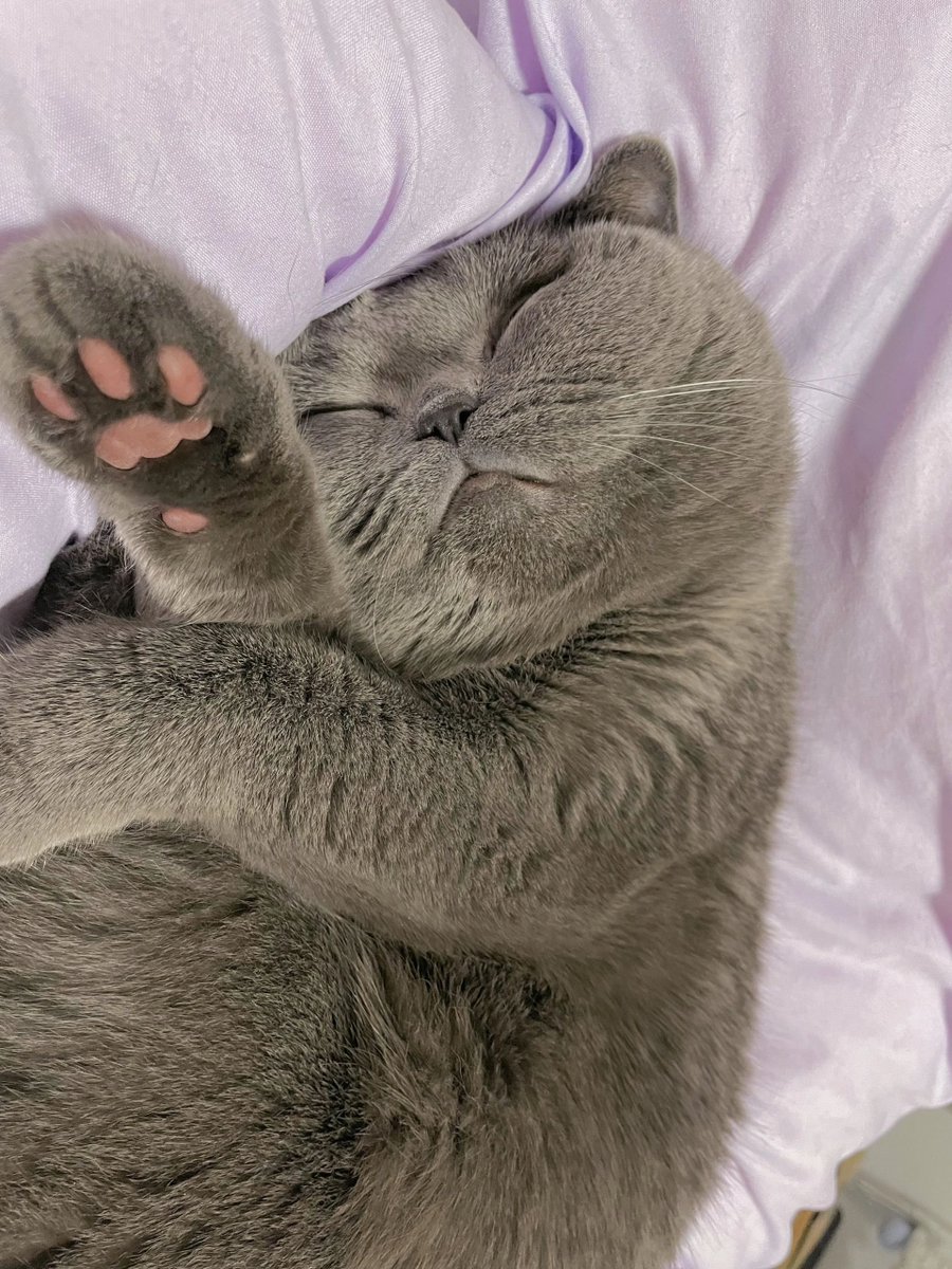 Why is he sleeping like a shrimp