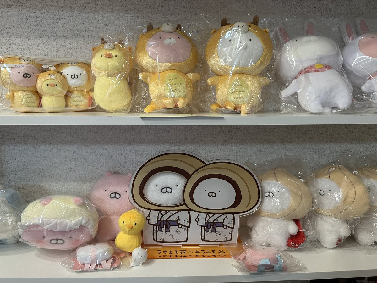 spark_of_evil's tweet photo. ドラゴンの #ひよこ が届きました！
マスコットのほうは定員オーバーで
ぎゅうぎゅう��す笑

#くまさん だけはドラゴンには
ならないんですよね🤔

#うさまる #うさこ #うさまる荘
#linefriendsstore https://t.co/LvfpkhEmOW
