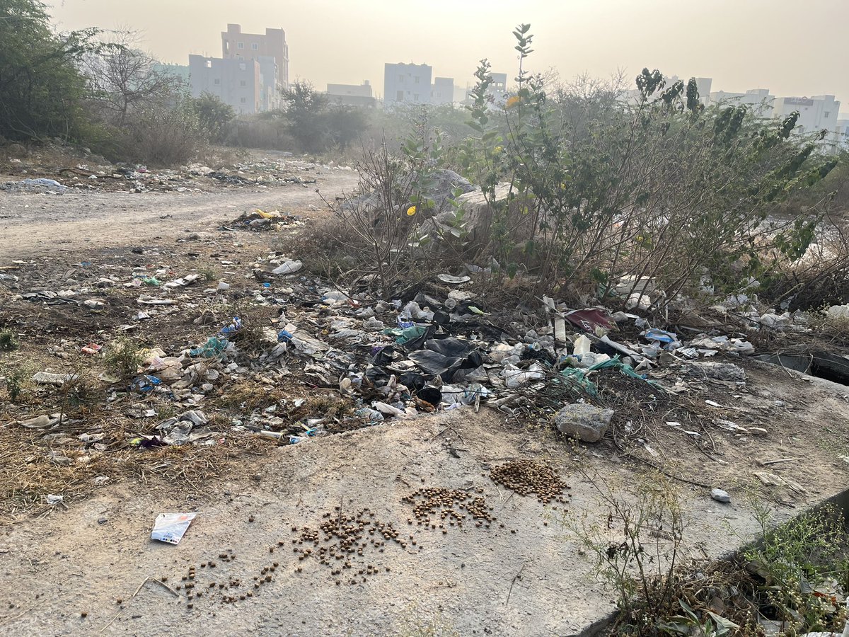 Ashish Pandey tweet media