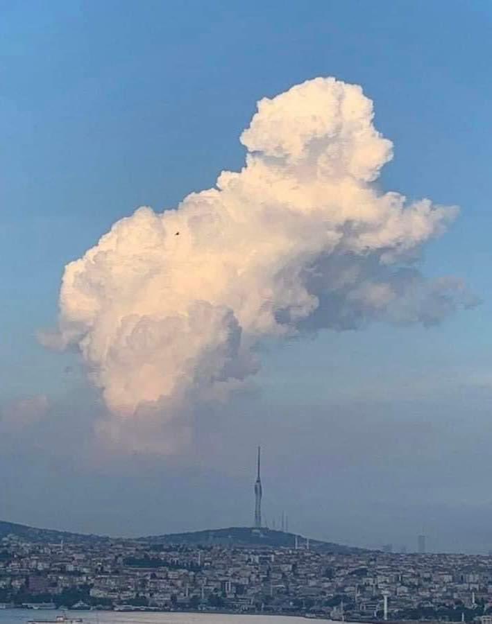 Cómo no va a estar bonito el cielo, si ahí está mi perrito ❤️🥺