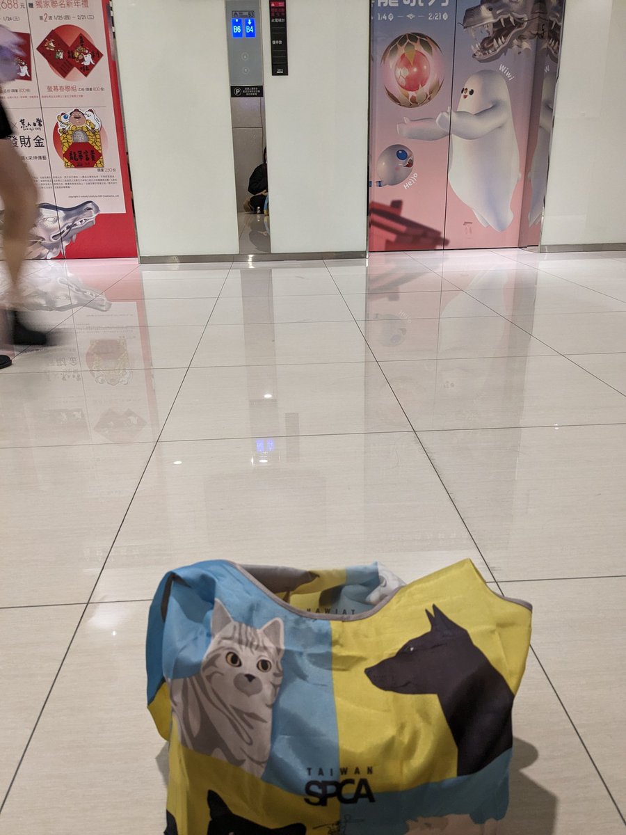 在5樓電梯口免費發放應援物喔~
歡迎大家過來找我領取
Niel only you taipei fan meeting
#niel #니엘