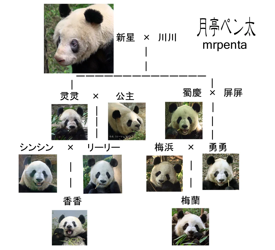 公の場での発言・インタビュー報道記録