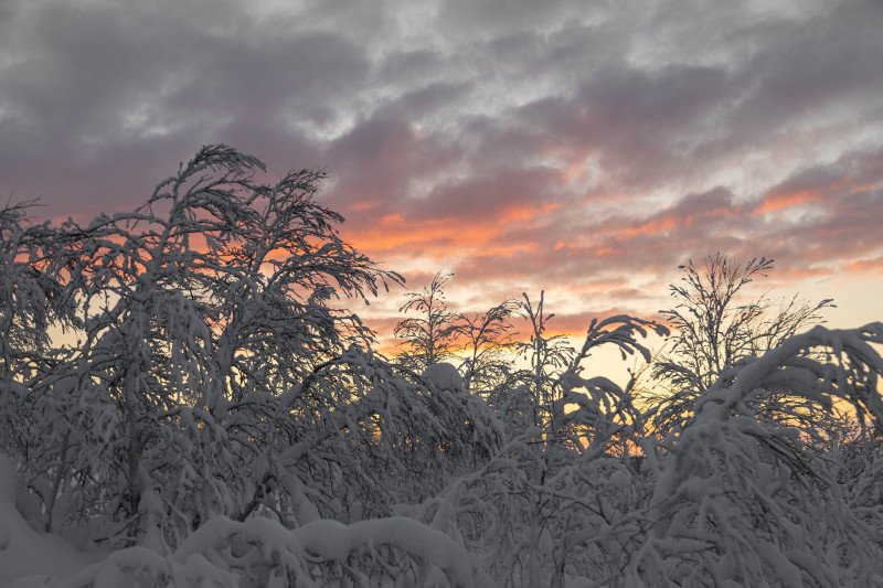 bportcom's tweet image. 🌡  До -20 градусов ожидается в Мурманской области

По данным ФГБУ “Мурманское УГМС”, по Мурманской области при прояснениях прогнозируется холодная погода, мороз. Погоду Кольского полуострова будет определять циклон с центром в районе Печорского моря… t2p.pw/RKxVGCLRR4