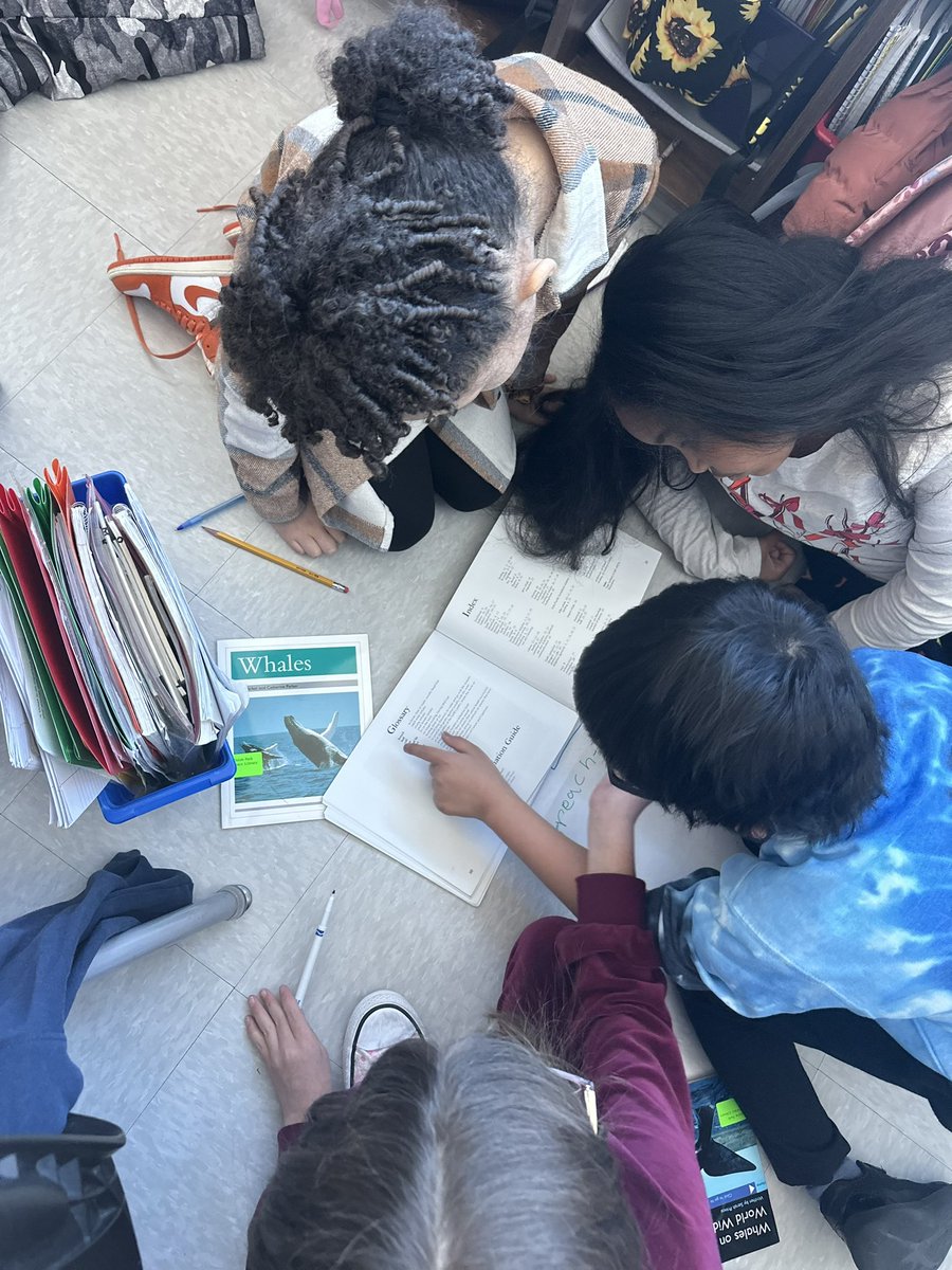 baristondo1's tweet photo. Collaborating with our research club to develop specialized vocabulary for our study on a particular animal. Together, we're constructing a comprehensive word bank. https://t.co/g4lpGgRs7f