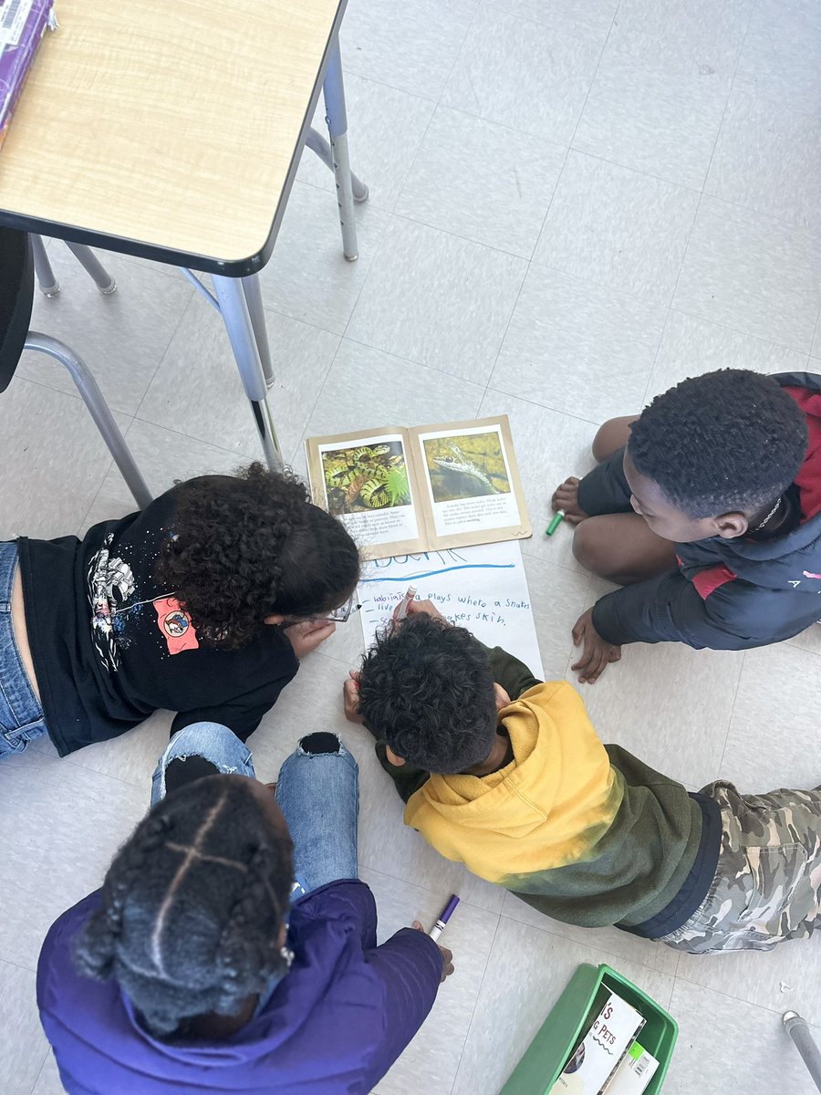 baristondo1's tweet photo. Collaborating with our research club to develop specialized vocabulary for our study on a particular animal. Together, we're constructing a comprehensive word bank. https://t.co/g4lpGgRs7f