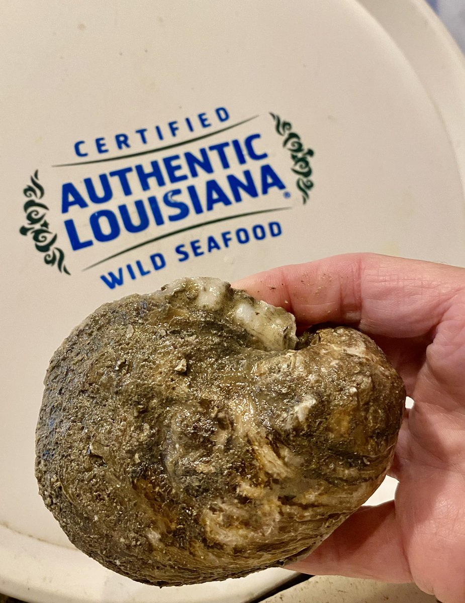 Jim Gossen tweet media