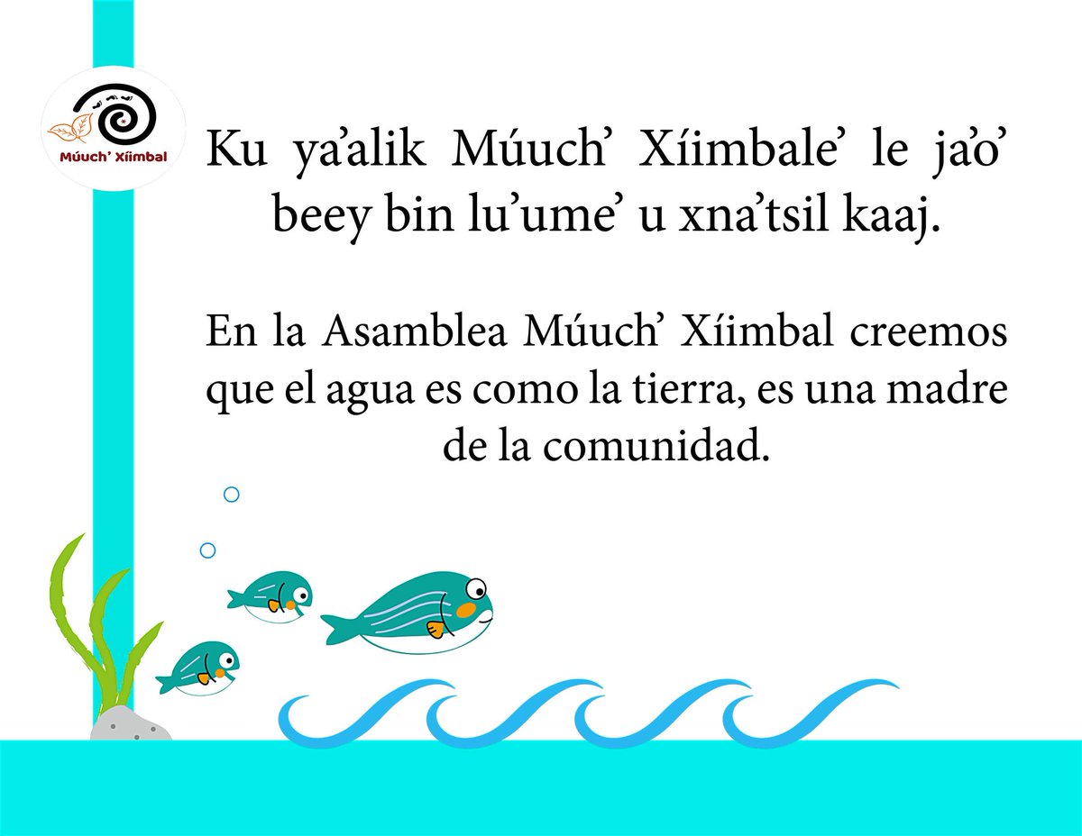 🎉6to. Aniversario de la Asamblea de Defensores del Territorio Maya Múuch’ Xíimbal
Programa especial
13 de enero de 2023
7:00 pm