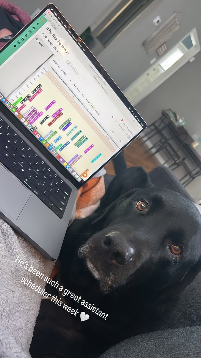 em_smitty9's tweet photo. my assistant scheduler 3x this week #snowday https://t.co/XGaoYOndRD