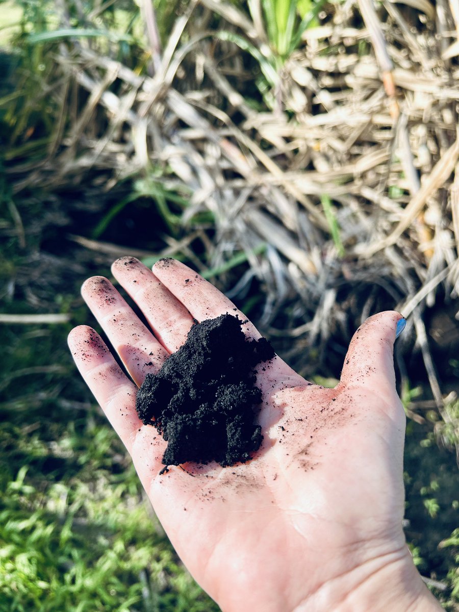 ClinicPlant's tweet photo. And from Juliana at @USDA  🌾🌾🌾 https://t.co/7FLsaNGff0