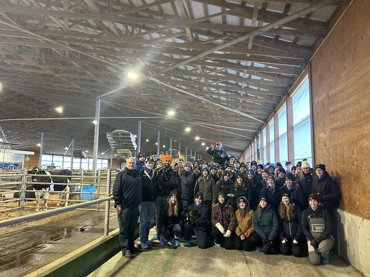 University of Guelph Dairy Science Club tweet media