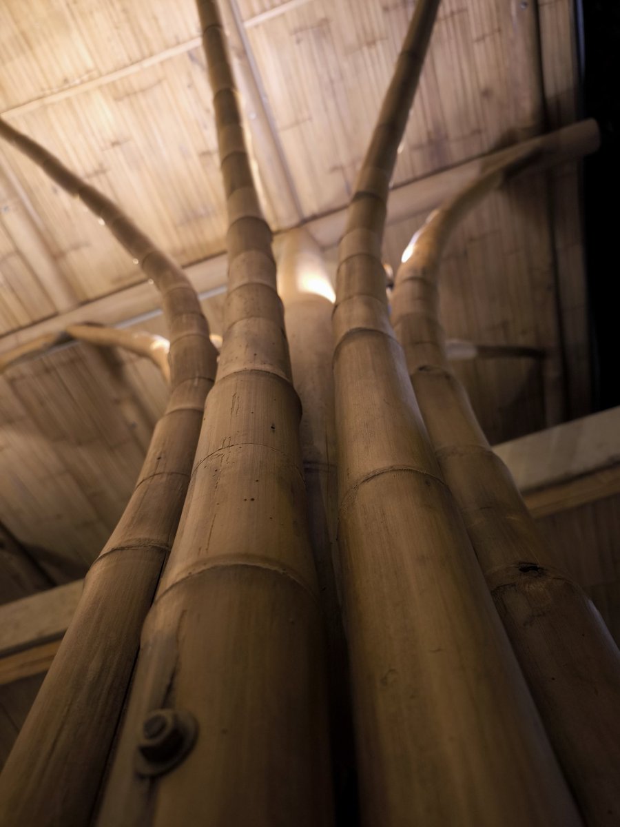 ruizlalo's tweet photo. Build with native Mexican #bamboo #Guadua velutina and the cultivate #Dendrocalamus asper #CiudadValles #Kapul restaurant https://t.co/jbT8c1NWfJ