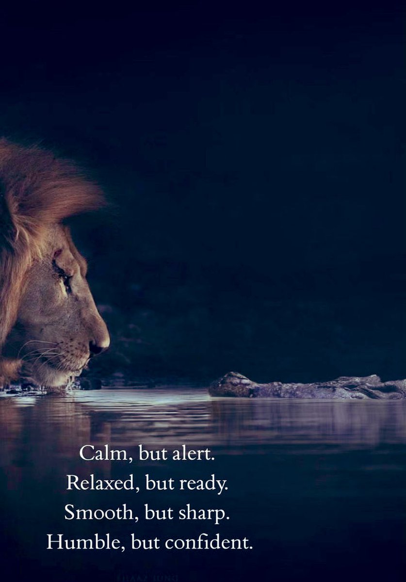 yaninapineda10's tweet image. 💯
📉📈📊
#getsharp