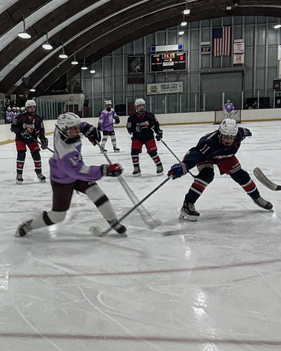 ScarsdalePuck tweet picture