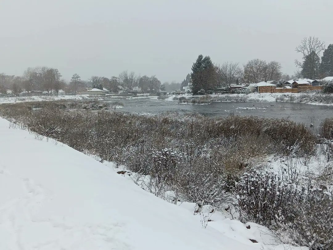 FLASH__MEADOW's tweet photo. Well snow just happened😑😑😑😑🧊🧊🧊❄❄❄⛄⛄⛄🥶🥶🥶 https://t.co/HgiOYPs0XA