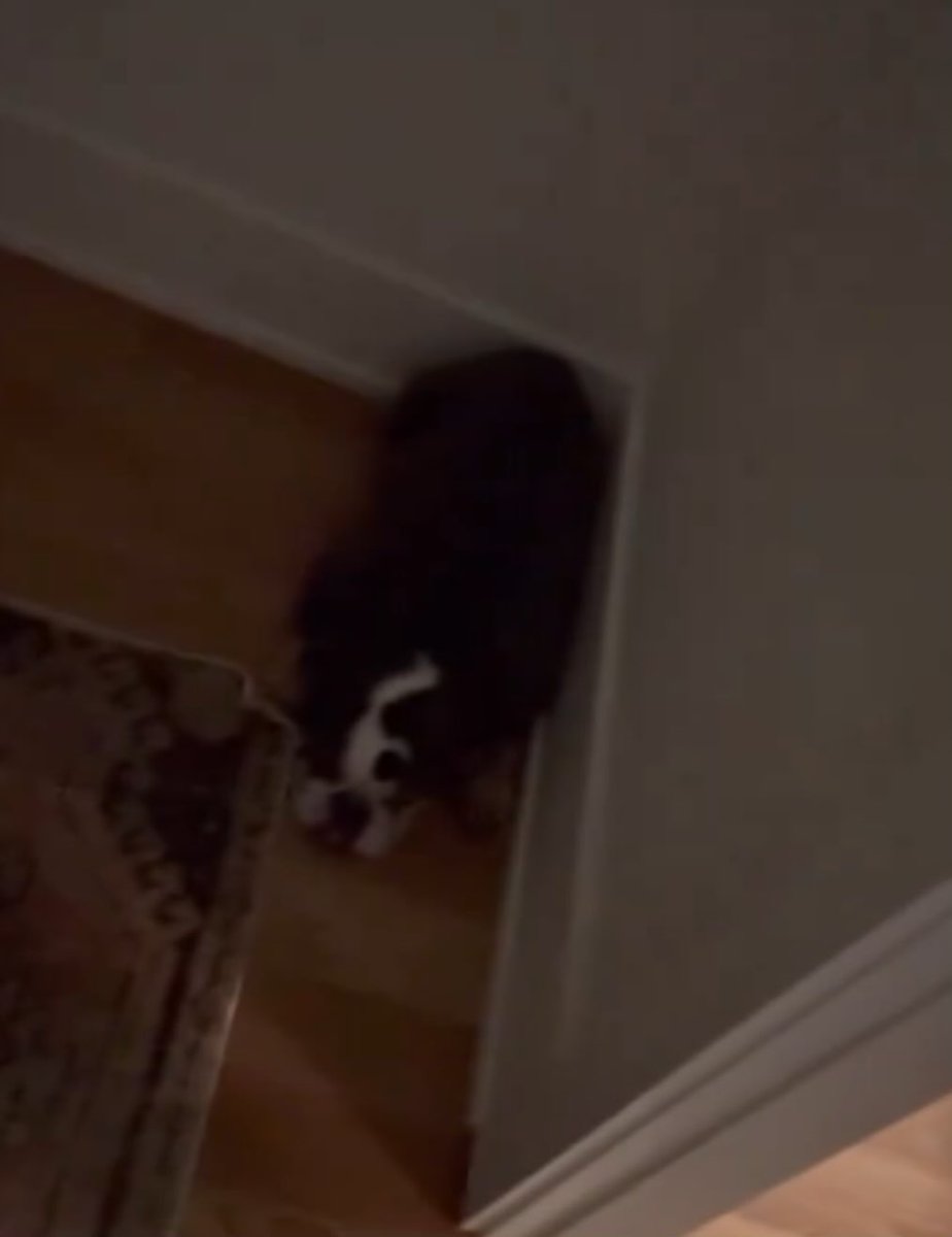 Will Compton tweet media