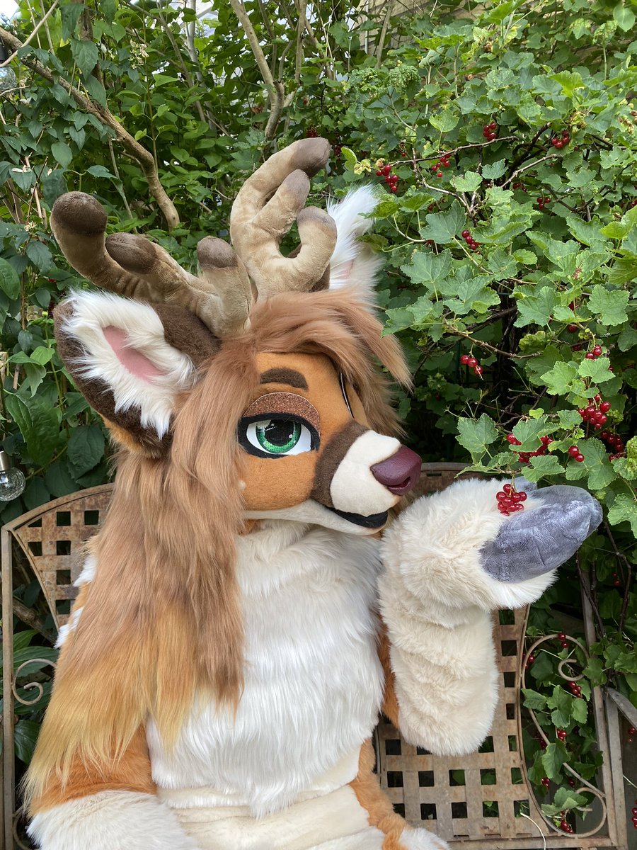 🎀Sno🎀 tweet media